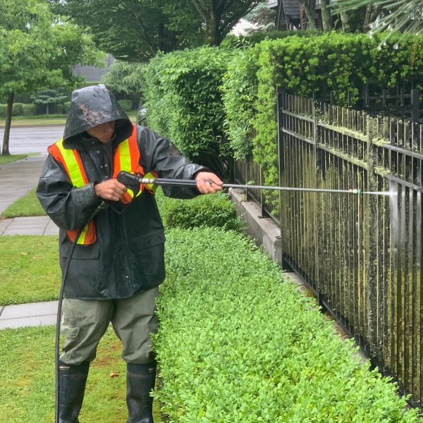 Power washing & building maintenance.
